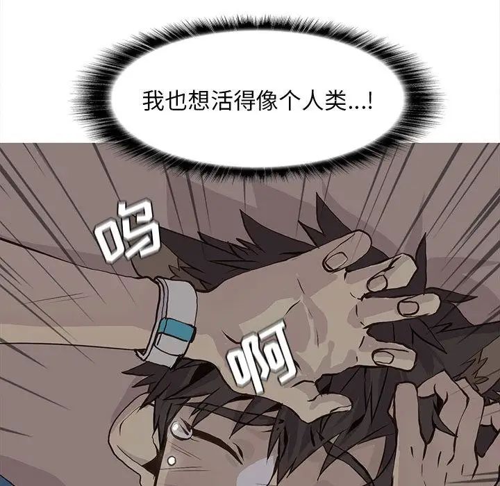 66.jpg