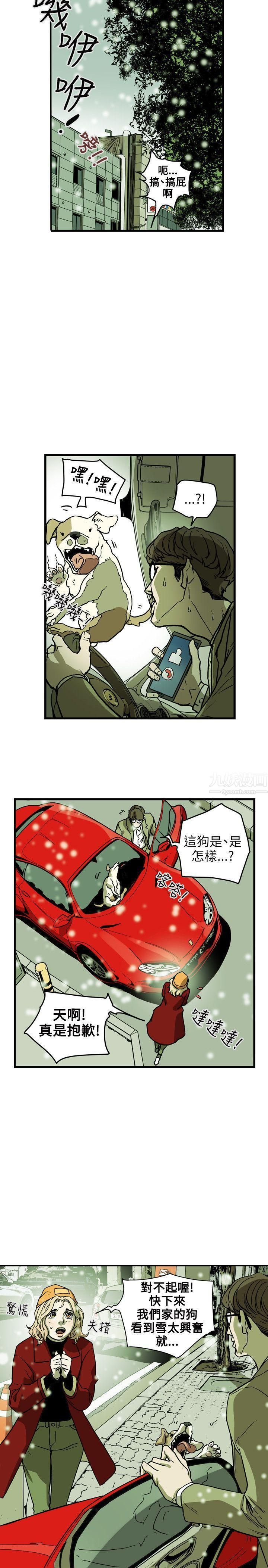 31.jpg