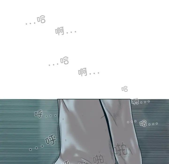 49.jpg