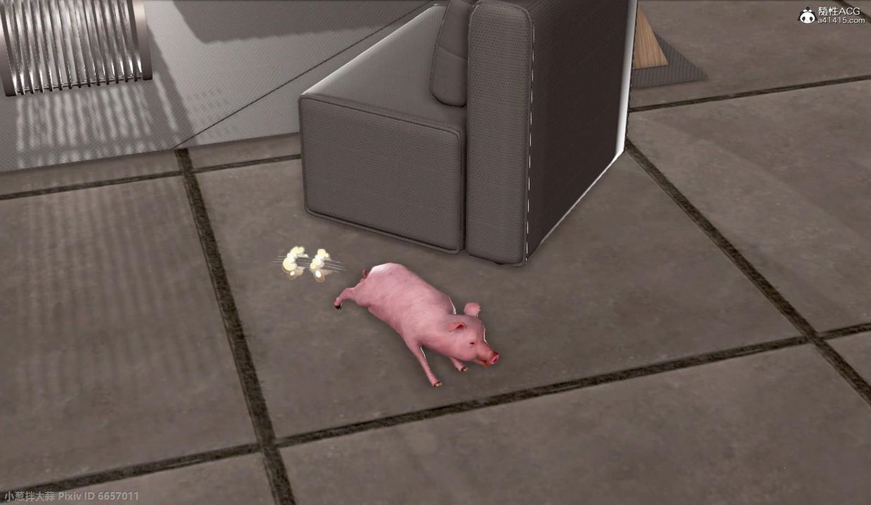 21.jpg