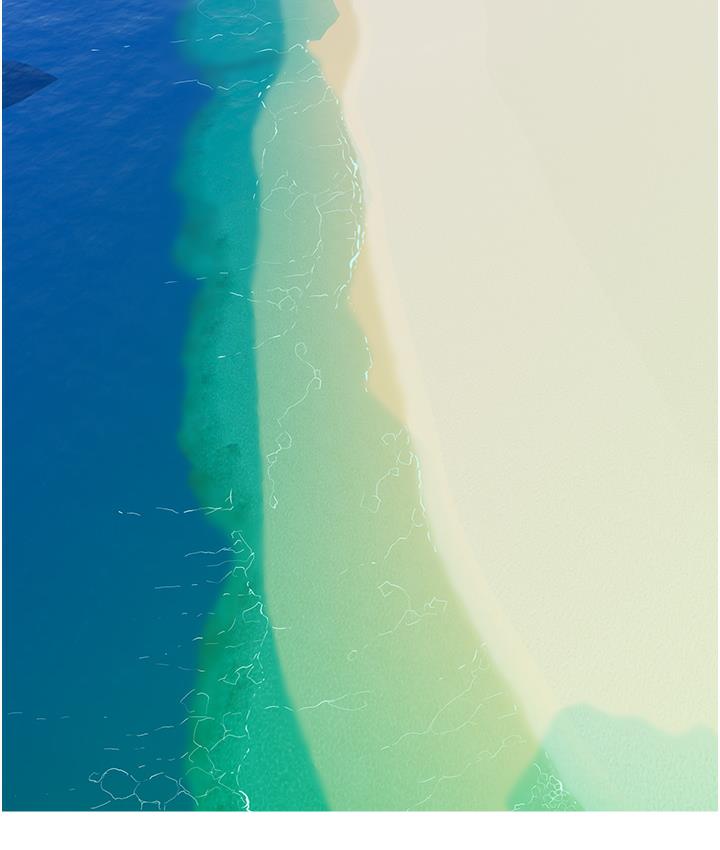 95.jpg