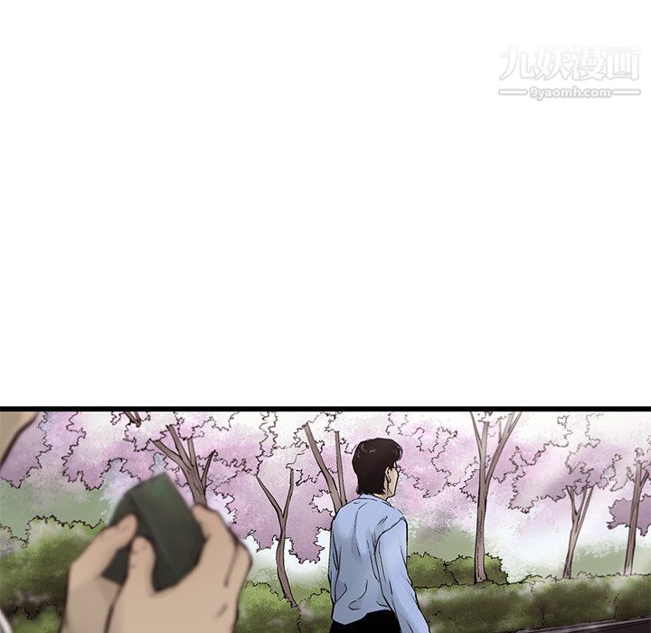 41.jpg
