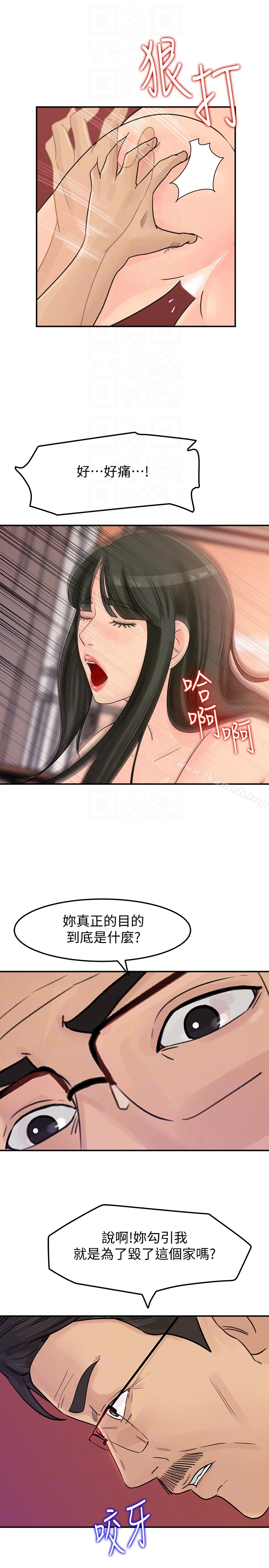 41.jpg