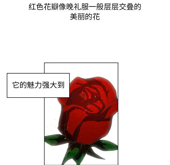 97.jpg