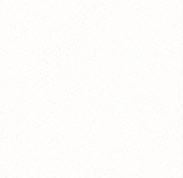 296.jpg