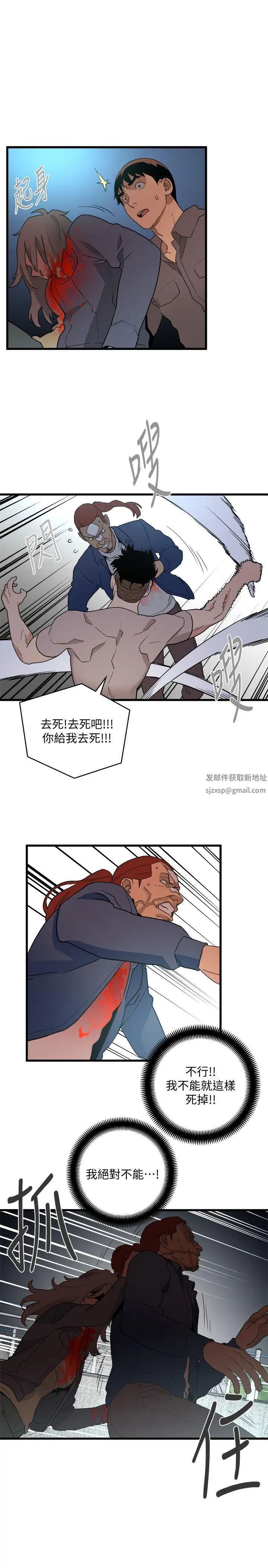 37.jpg