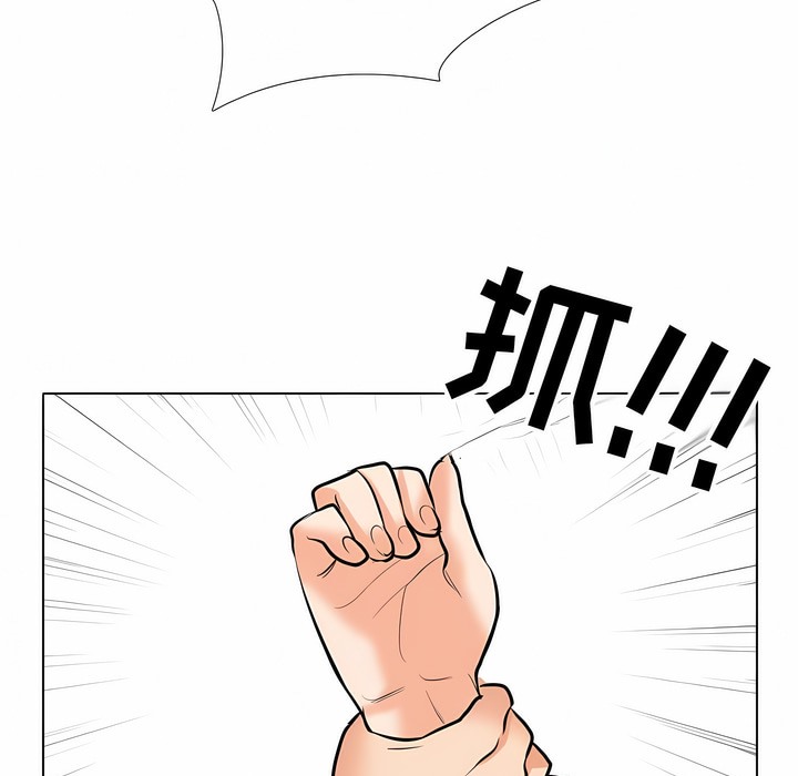 47.jpg