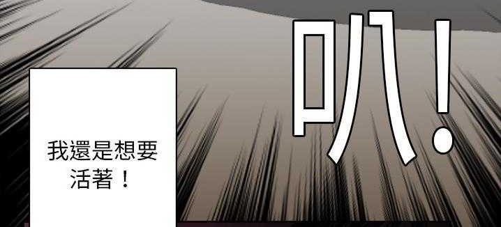 141.jpg