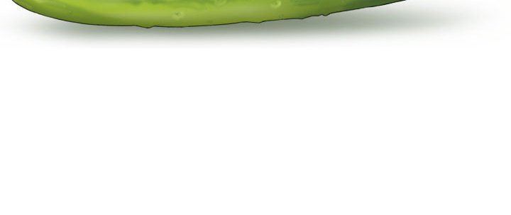 146.jpg