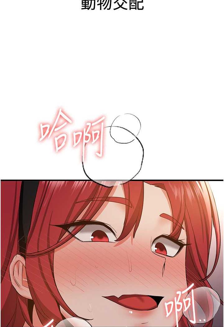 100.jpg