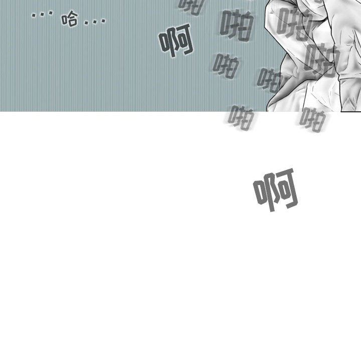 135.jpg