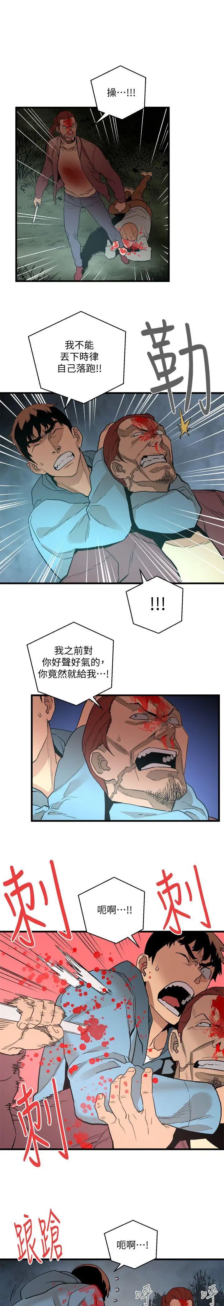 47.jpg