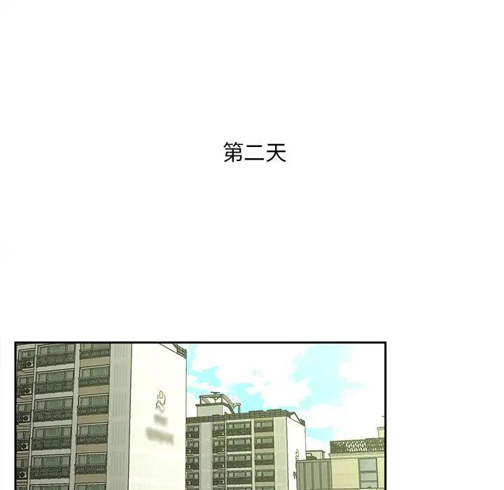 85.jpg