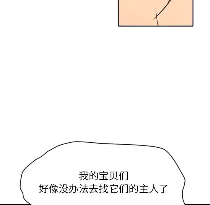 100.jpg
