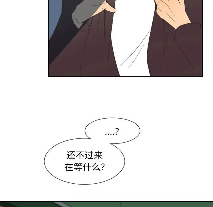 41.jpg