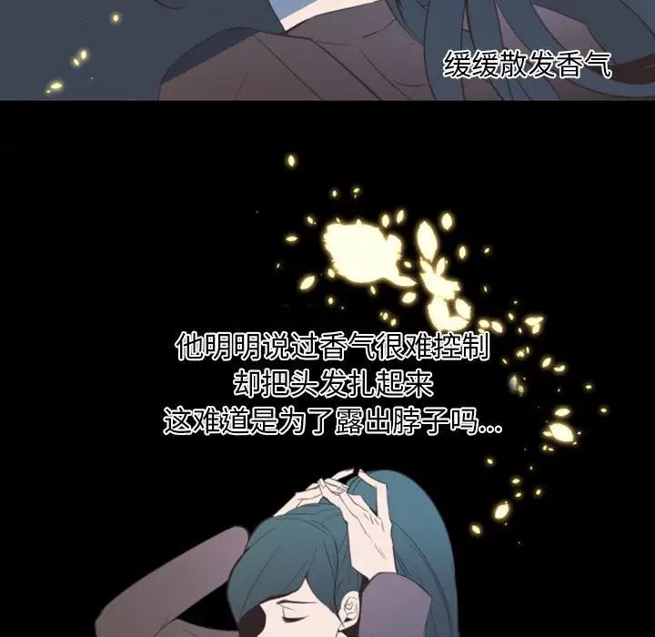 95.jpg