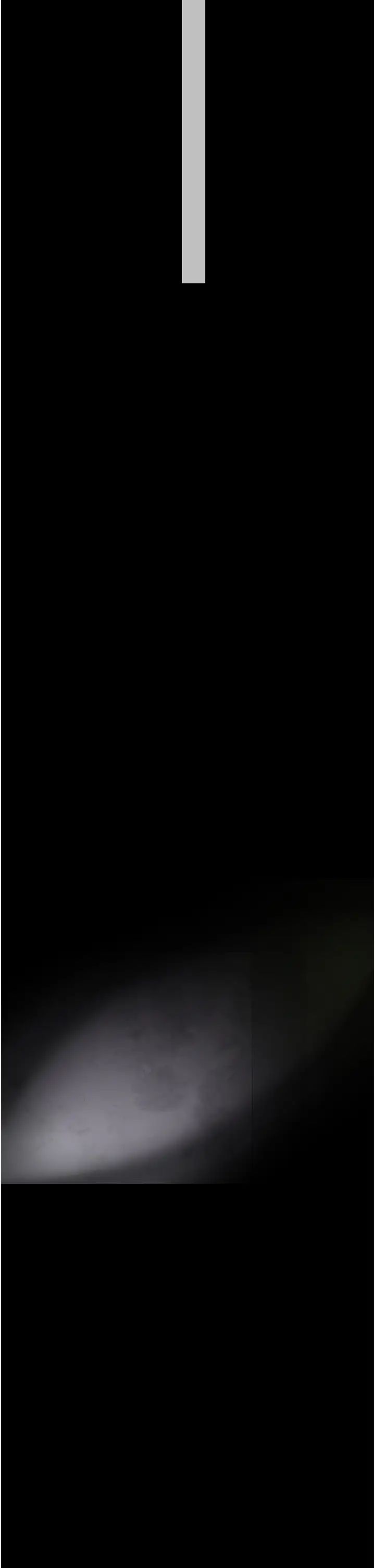 52.jpg