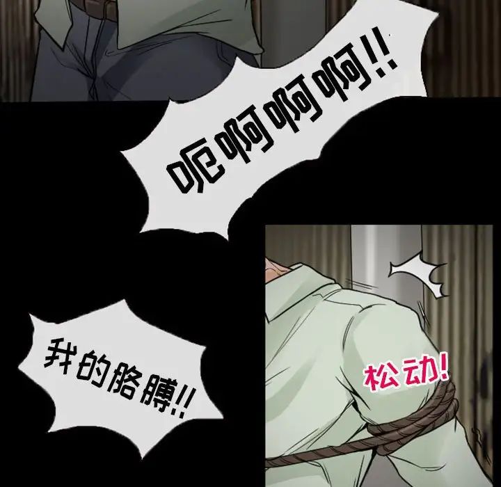 41.jpg