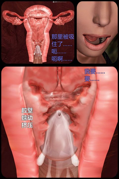 49.jpg