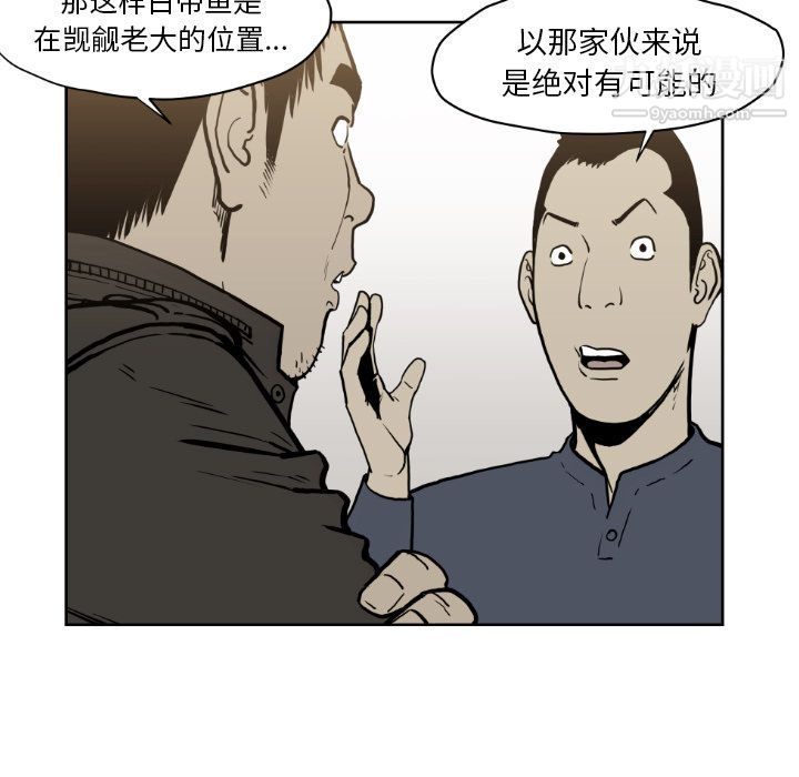 29.jpg