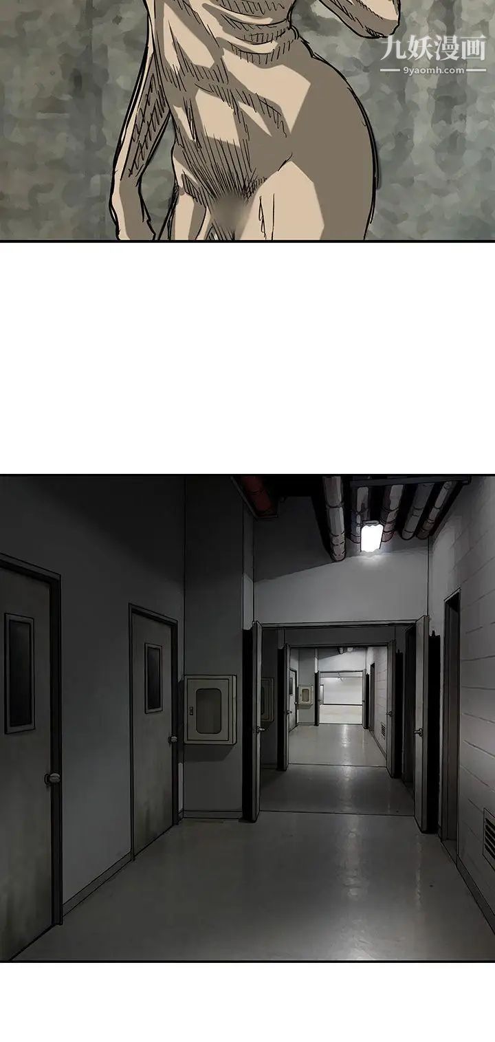 39.jpg