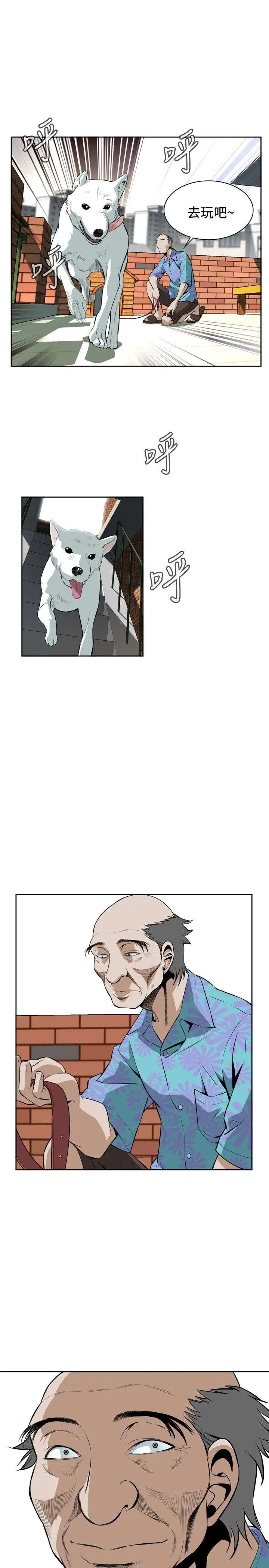 49.jpg