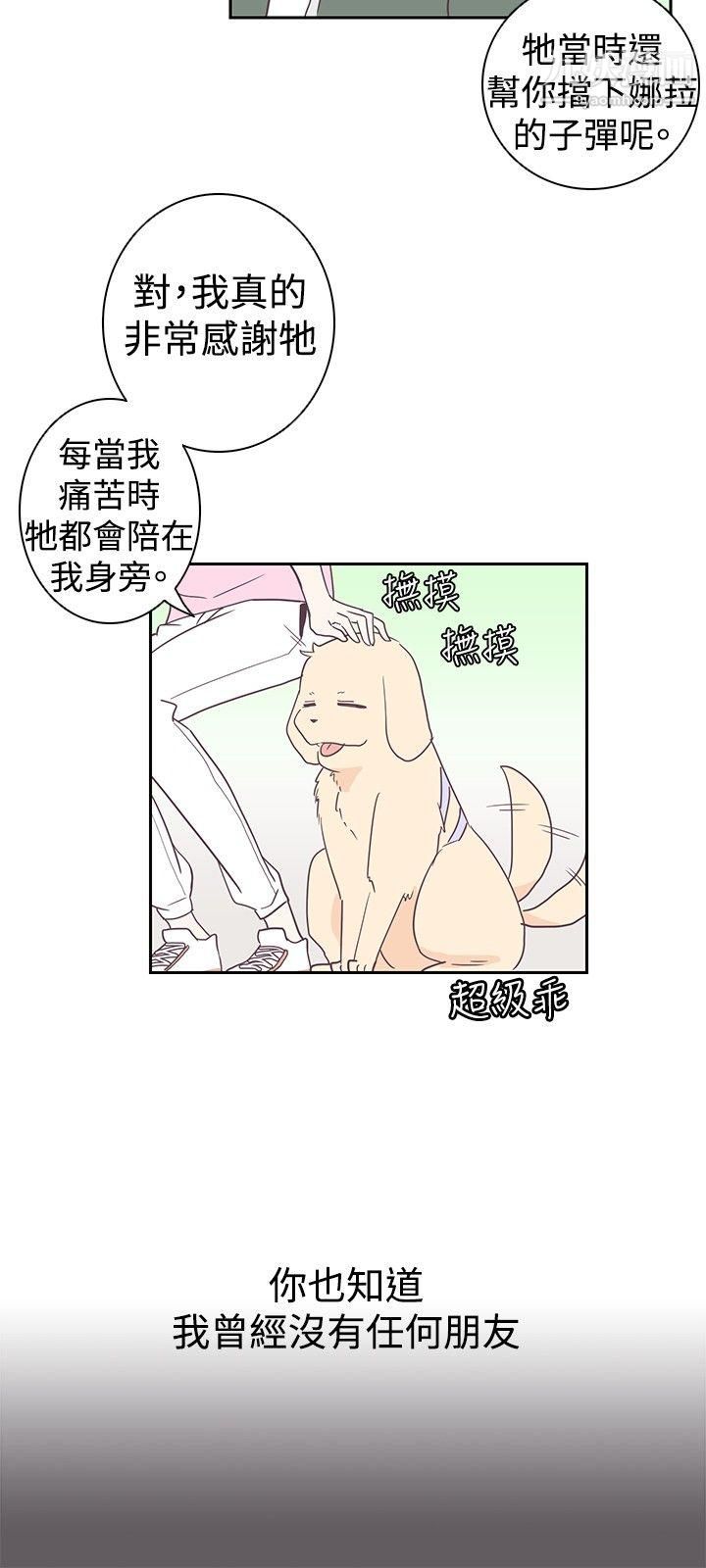 41.jpg