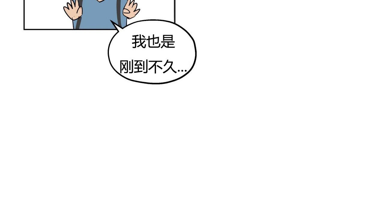 78.jpg