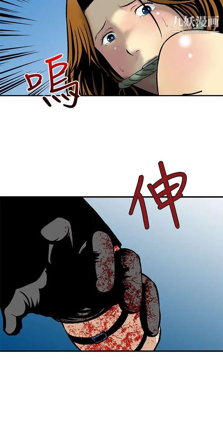 35.jpg