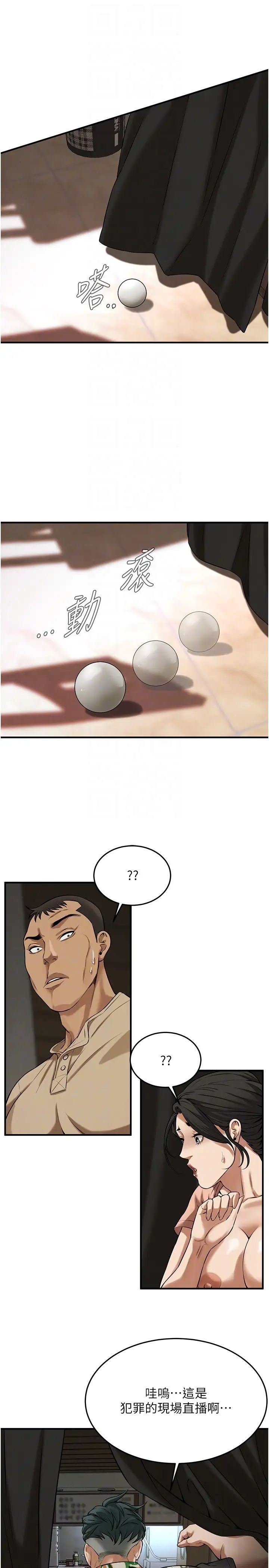 48.jpg