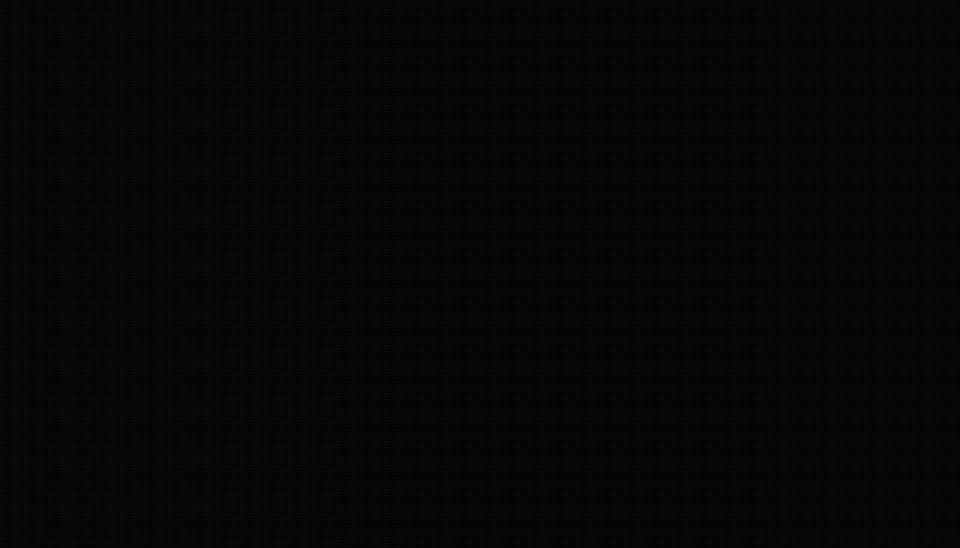 81.jpg