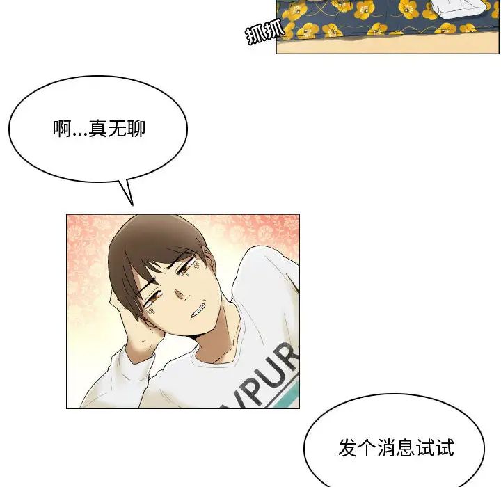 43.jpg