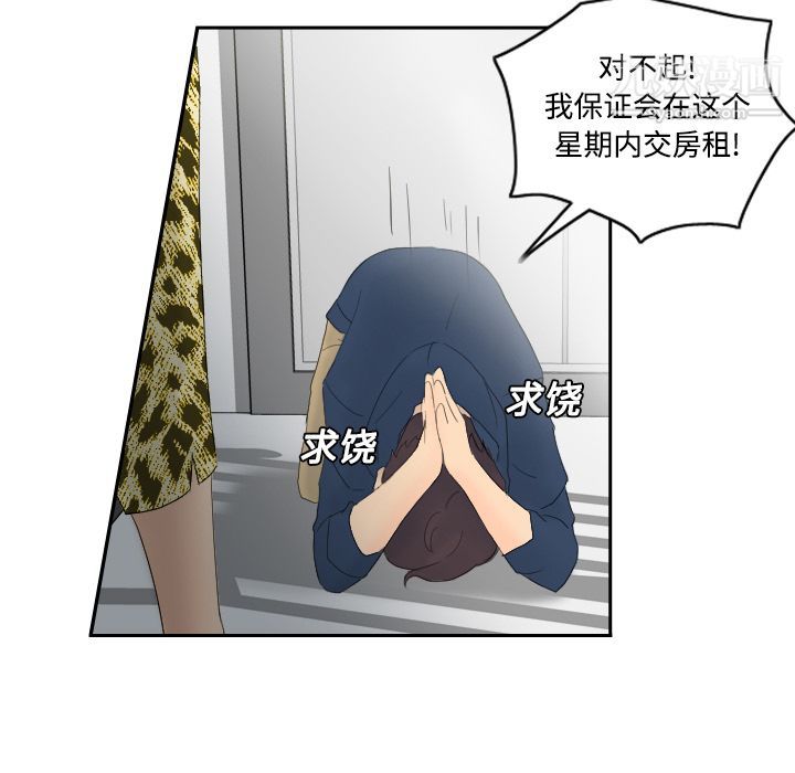 25.jpg