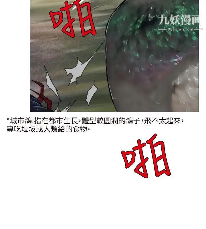 43.jpg