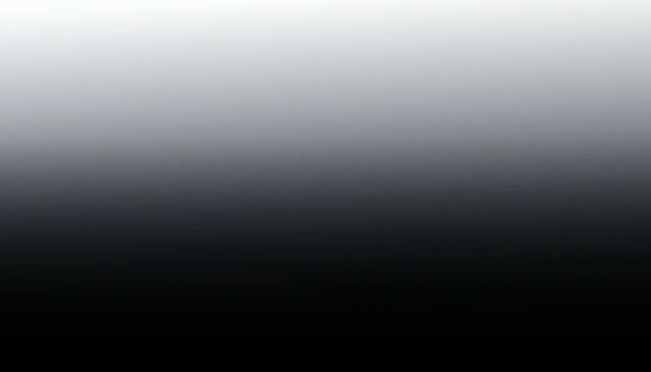 81.jpg