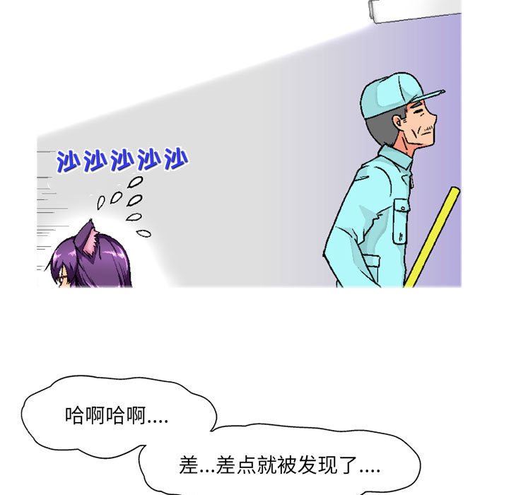 31.jpg