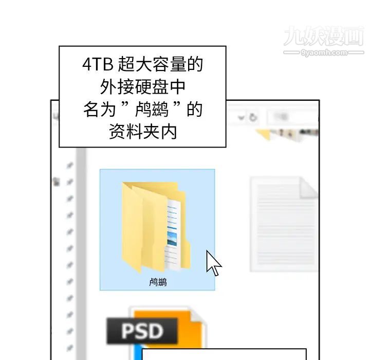 40.jpg