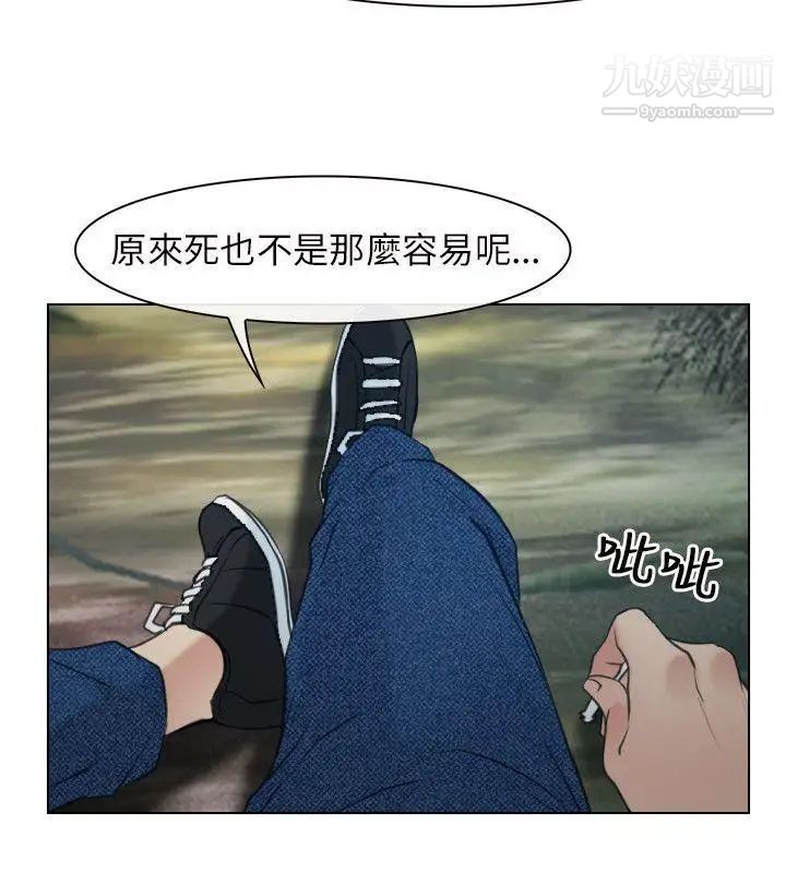 41.jpg
