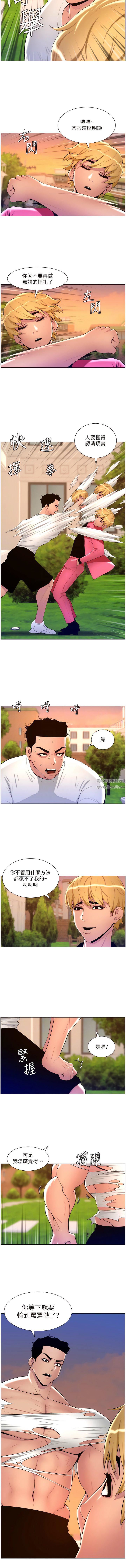 5.jpg
