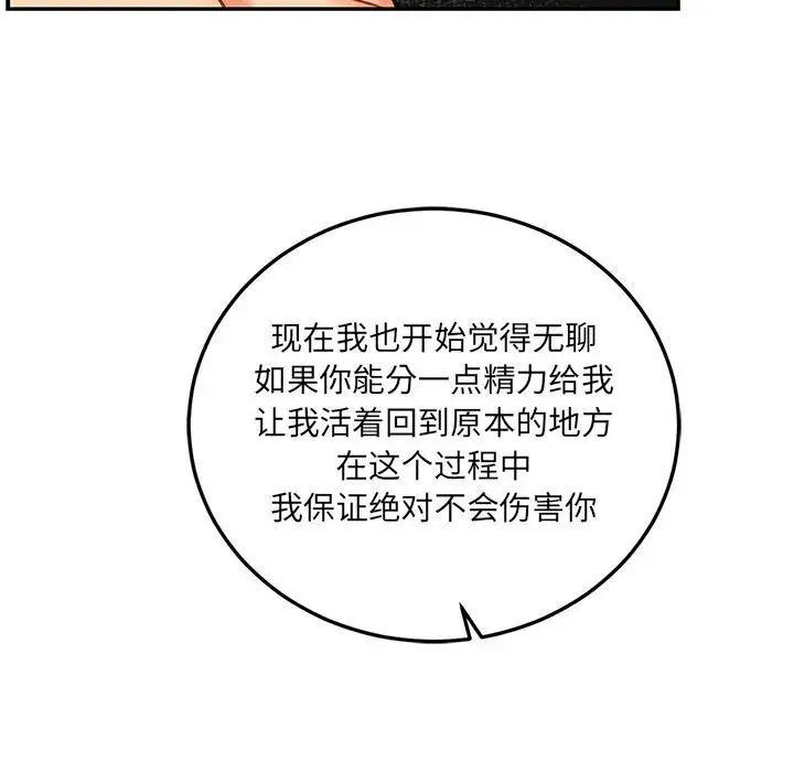 46.jpg