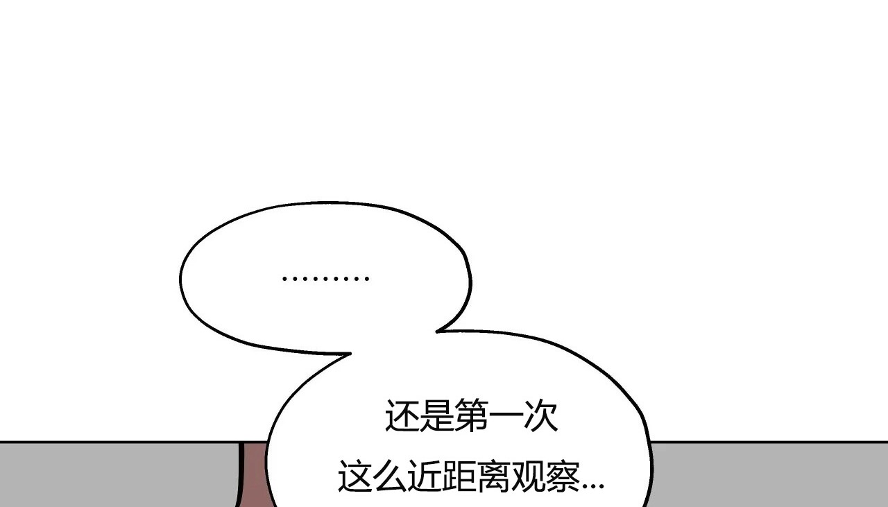 102.jpg