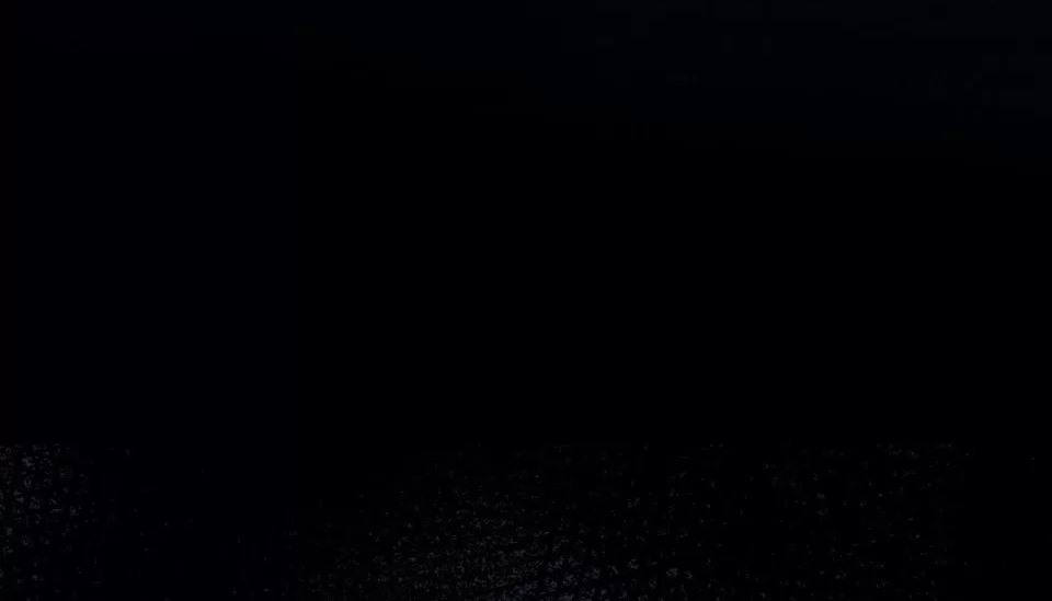 97.jpg