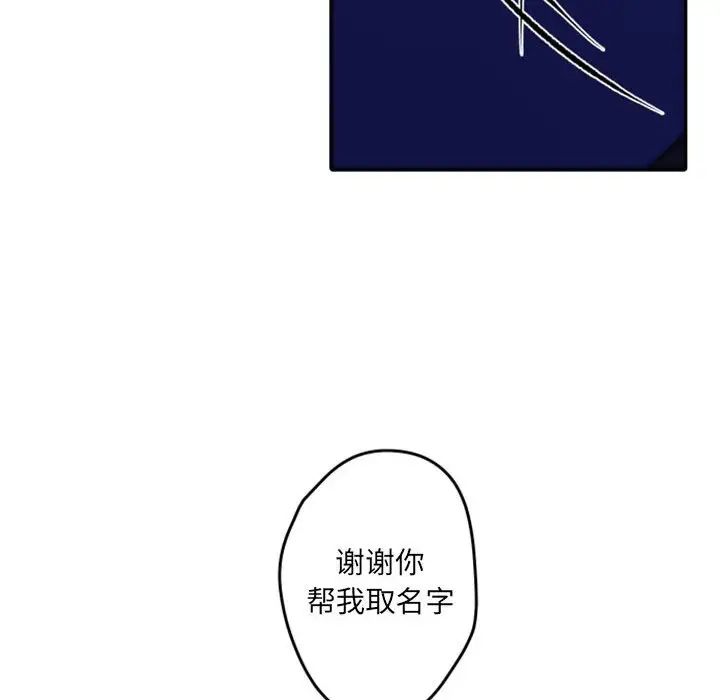 78.jpg