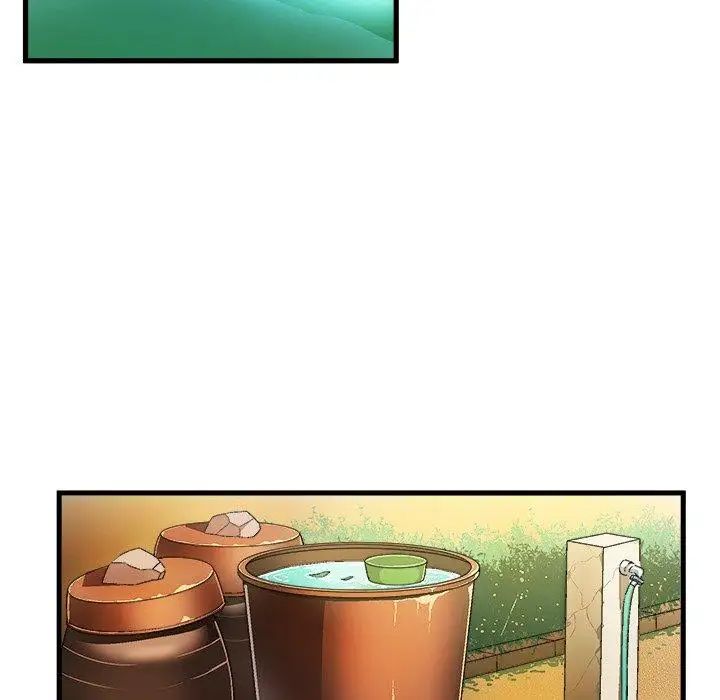64.jpg