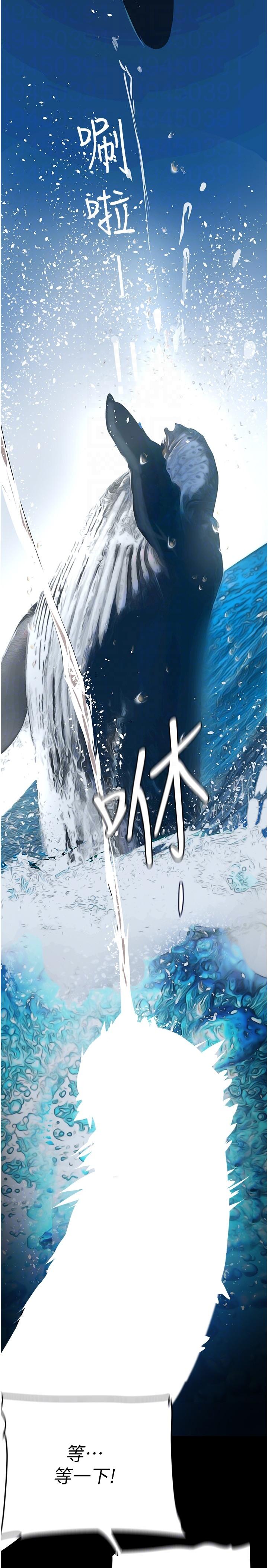 59.jpg