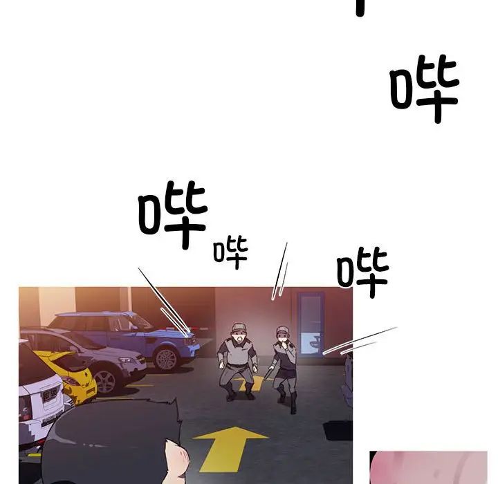 55.jpg