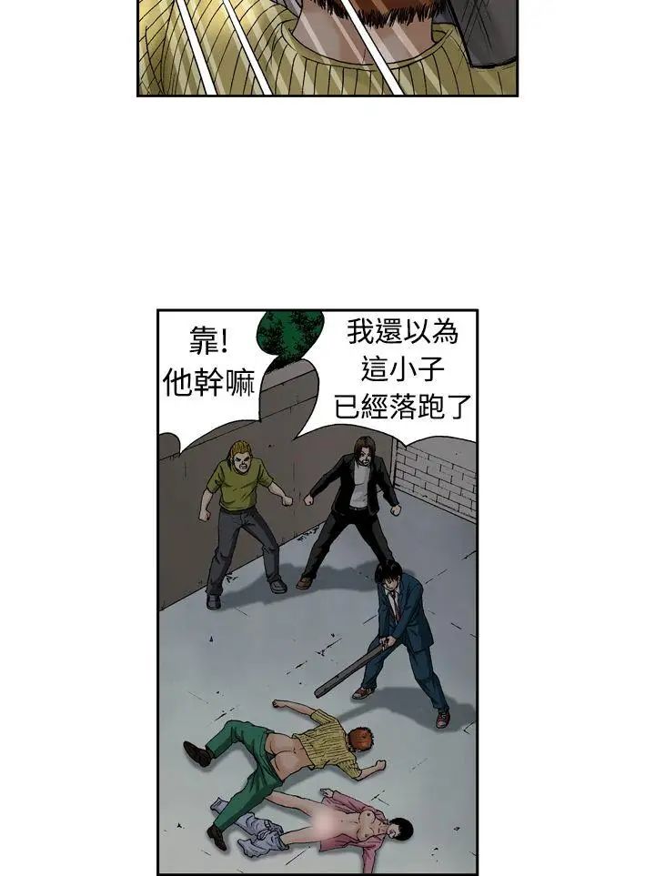 5.jpg