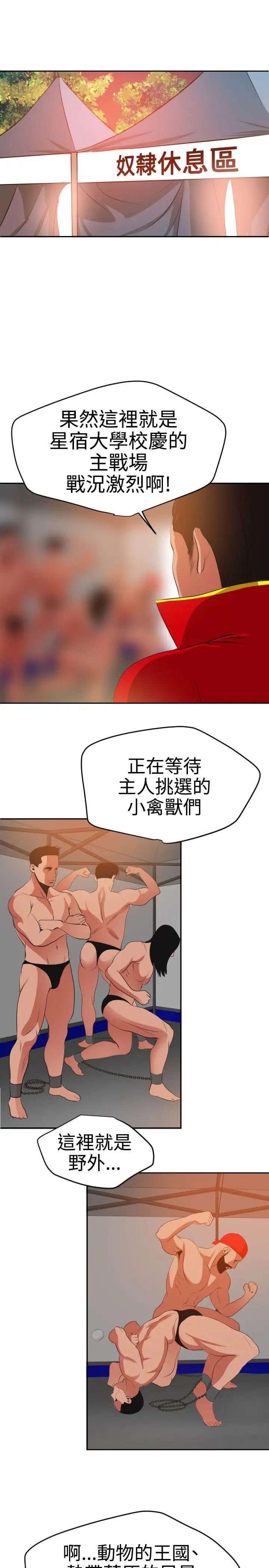 13.jpg