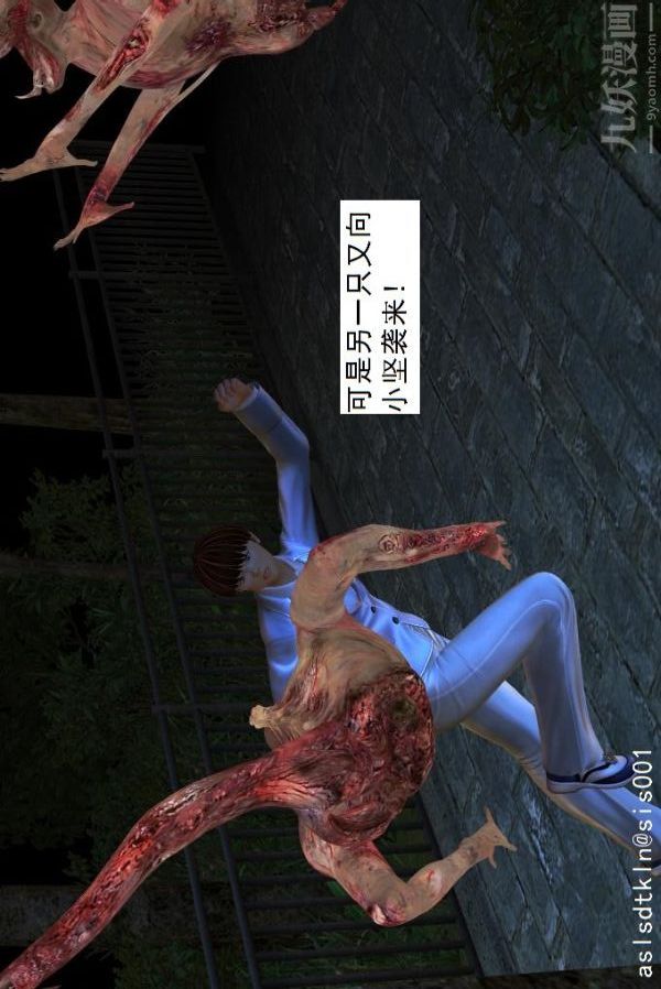 27.jpg