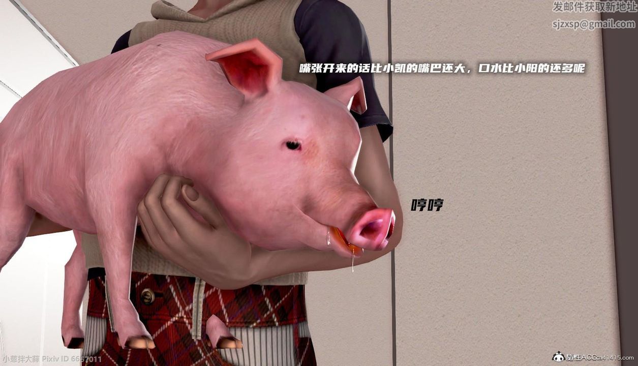 43.jpg